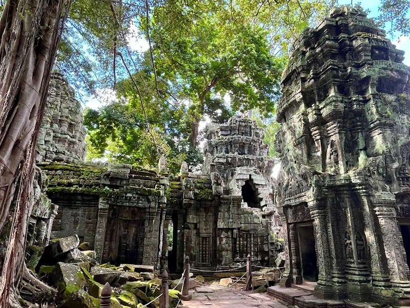 Ta Prohm - Siem Reap