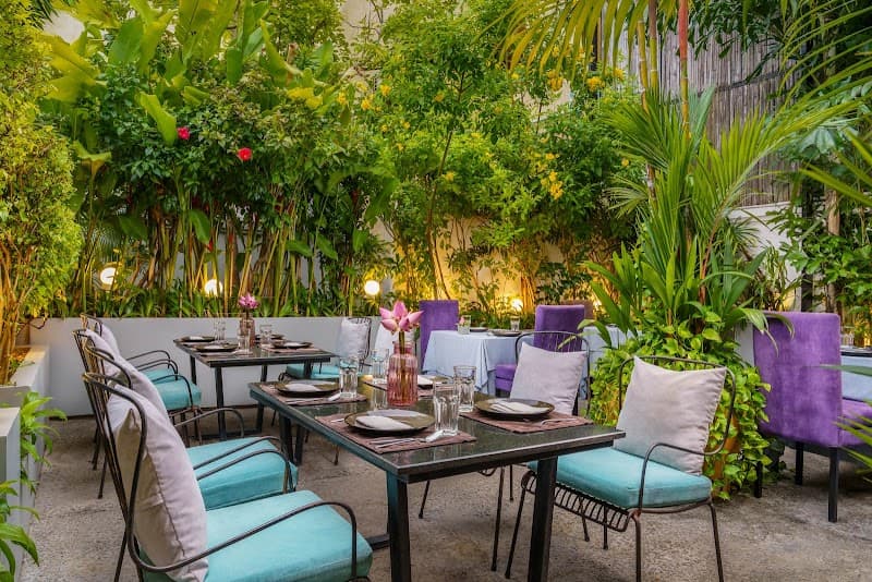 Chanrey Tree - Siem Reap