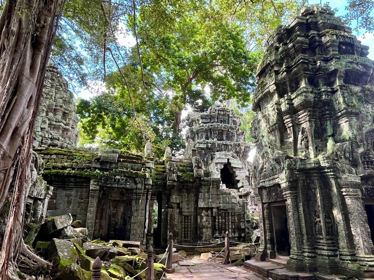 Ta Prohm - Siem Reap temple
